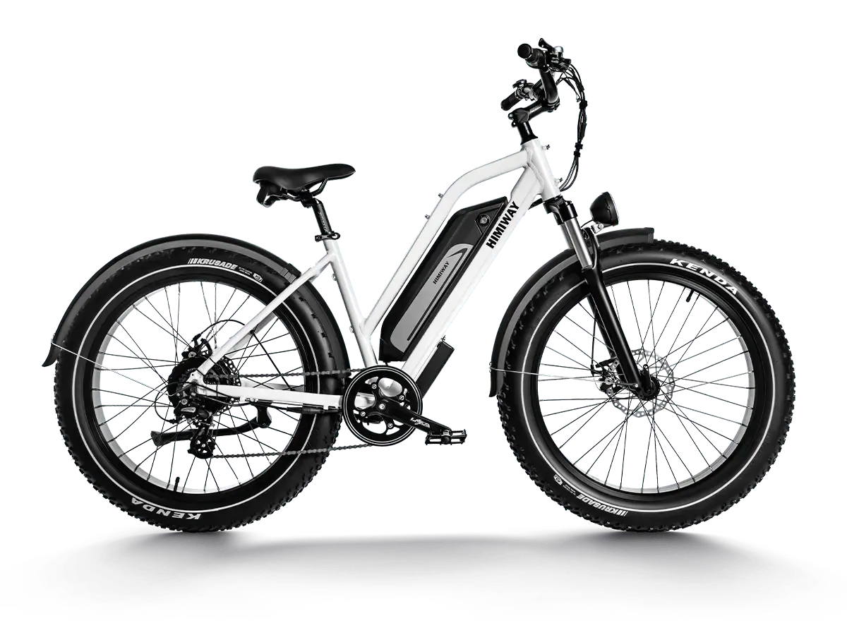 Himiway D3 ST (Cruiser ST) 750W All-Terrain Step-Thru Fat Tire Electric Bike