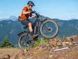 Himiway D3 (Cruiser) 750W Long Range Fat Tire Electric Bike