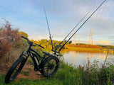Himiway D3 (Cruiser) 750W Long Range Fat Tire Electric Bike