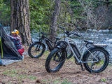Himiway D3 ST (Cruiser ST) 750W All-Terrain Step-Thru Fat Tire Electric Bike