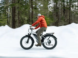 Himiway D3 ST (Cruiser ST) 750W All-Terrain Step-Thru Fat Tire Electric Bike