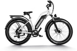 Himiway D3 ST (Cruiser ST) 750W All-Terrain Step-Thru Fat Tire Electric Bike