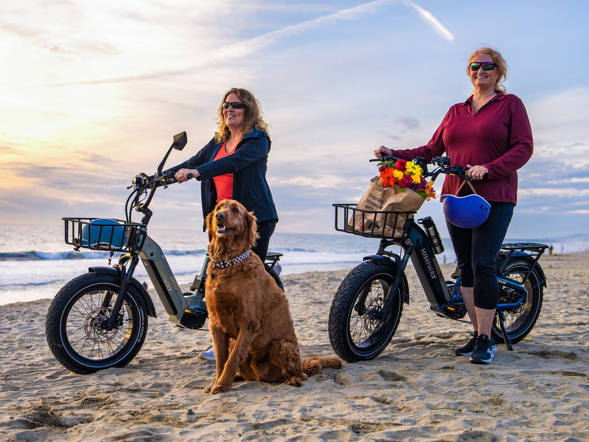 Himiway D5 2.0 20” Electric Bike