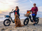 Himiway D5 2.0 20” Electric Bike