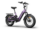 Himiway D5 2.0 20” Electric Bike