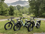 Himiway D5 ST (Zebra ST) 750W All-Terrain Step-Thru Fat Tire Electric Bike