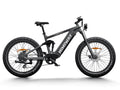 Electric Bikes