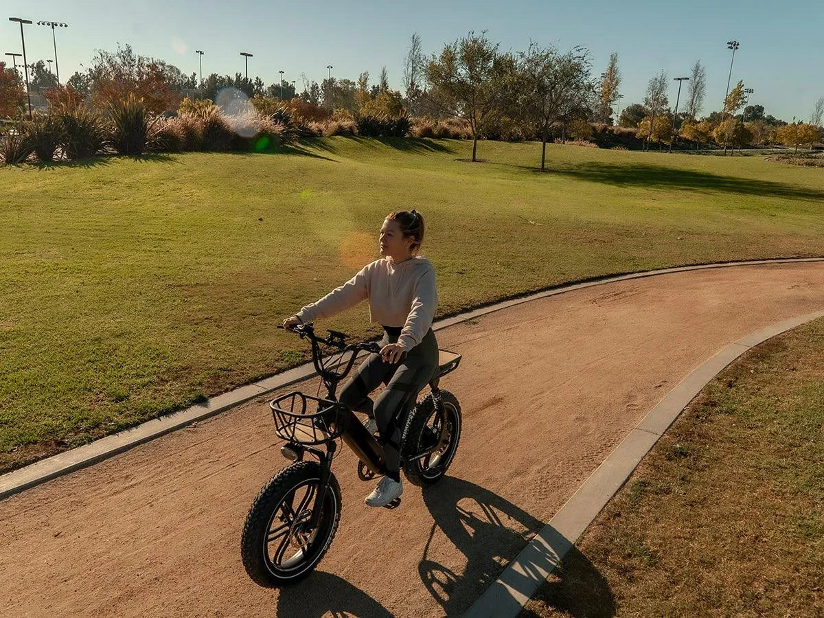 Himiway Escape Pro 750W Long Range Moped-Style Electric Bike