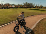 Himiway Escape Pro 750W Long Range Moped-Style Electric Bike