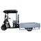 Chery Industrial 1500W Electric Cargo Tricycle Truck with Canopy