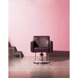 Takara Belmont EMERALD ST-N10 Hydraulic Styling Chair Salon Furniture