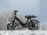 Himiway Escape Pro 750W Long Range Moped-Style Electric Bike