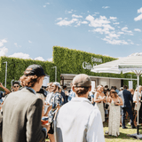 Designer Plants USA Lush Fern Artificial Green Wall 40" x 40" 11SQ FT Commercial Grade UV Resistant