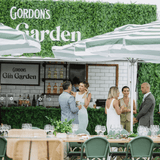 Designer Plants USA Lush Fern Artificial Green Wall 40" x 40" 11SQ FT Commercial Grade UV Resistant