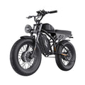 Electric Bikes