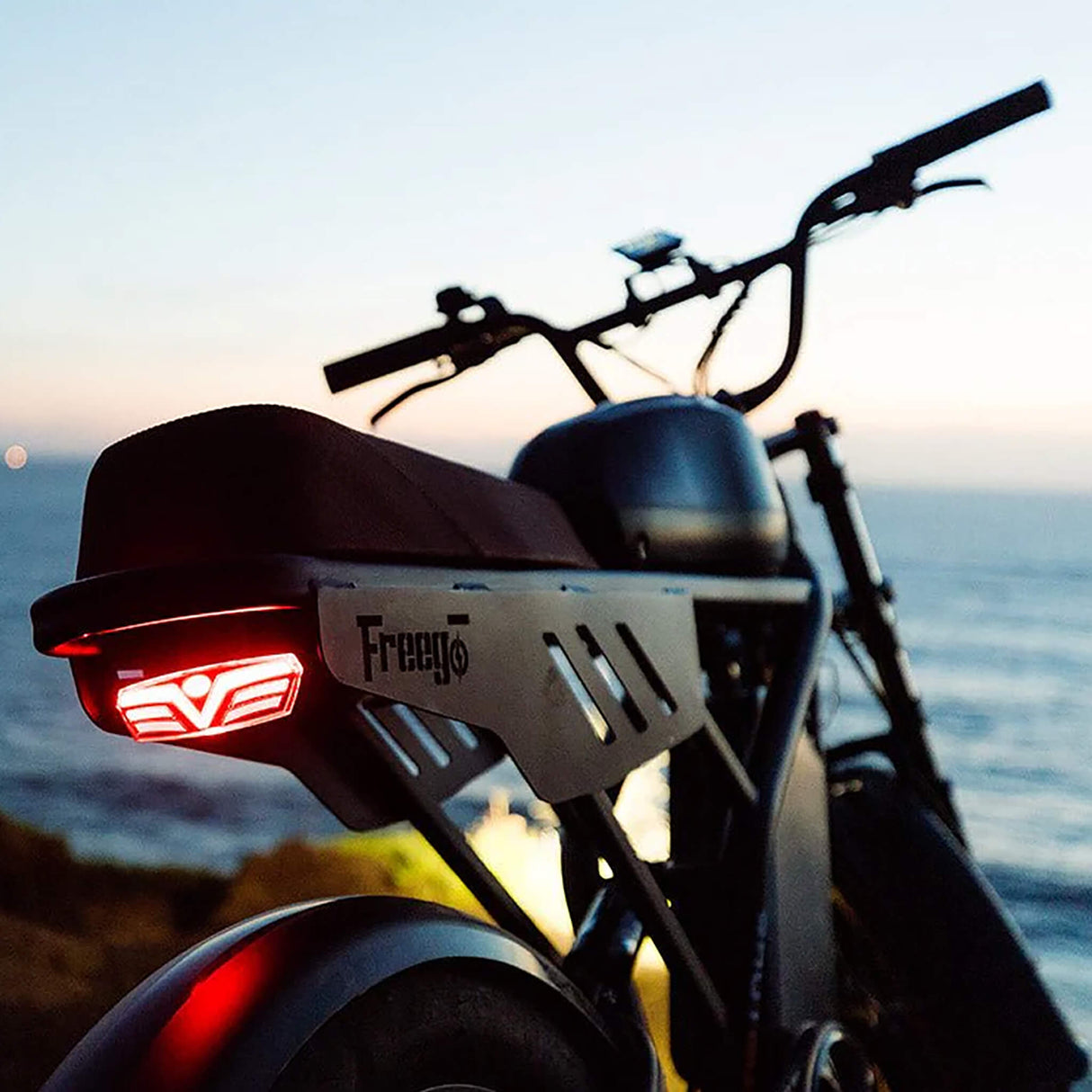 Freego Shotgun Flash F3 Pro Max 1000W Electric Dual Motor Bike