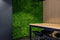 Designer Plants USA Lush Fern Artificial Green Wall 40" x 40" 11SQ FT Commercial Grade UV Resistant
