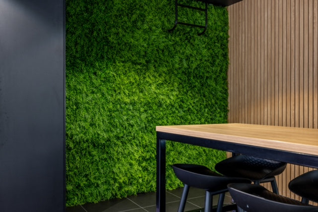 Designer Plants USA Lush Fern Artificial Green Wall 40" x 40" 11SQ FT Commercial Grade UV Resistant