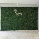 Designer Plants USA Jasmine Artificial Green Wall 40" x 40" Commercial Grade UV Resistant