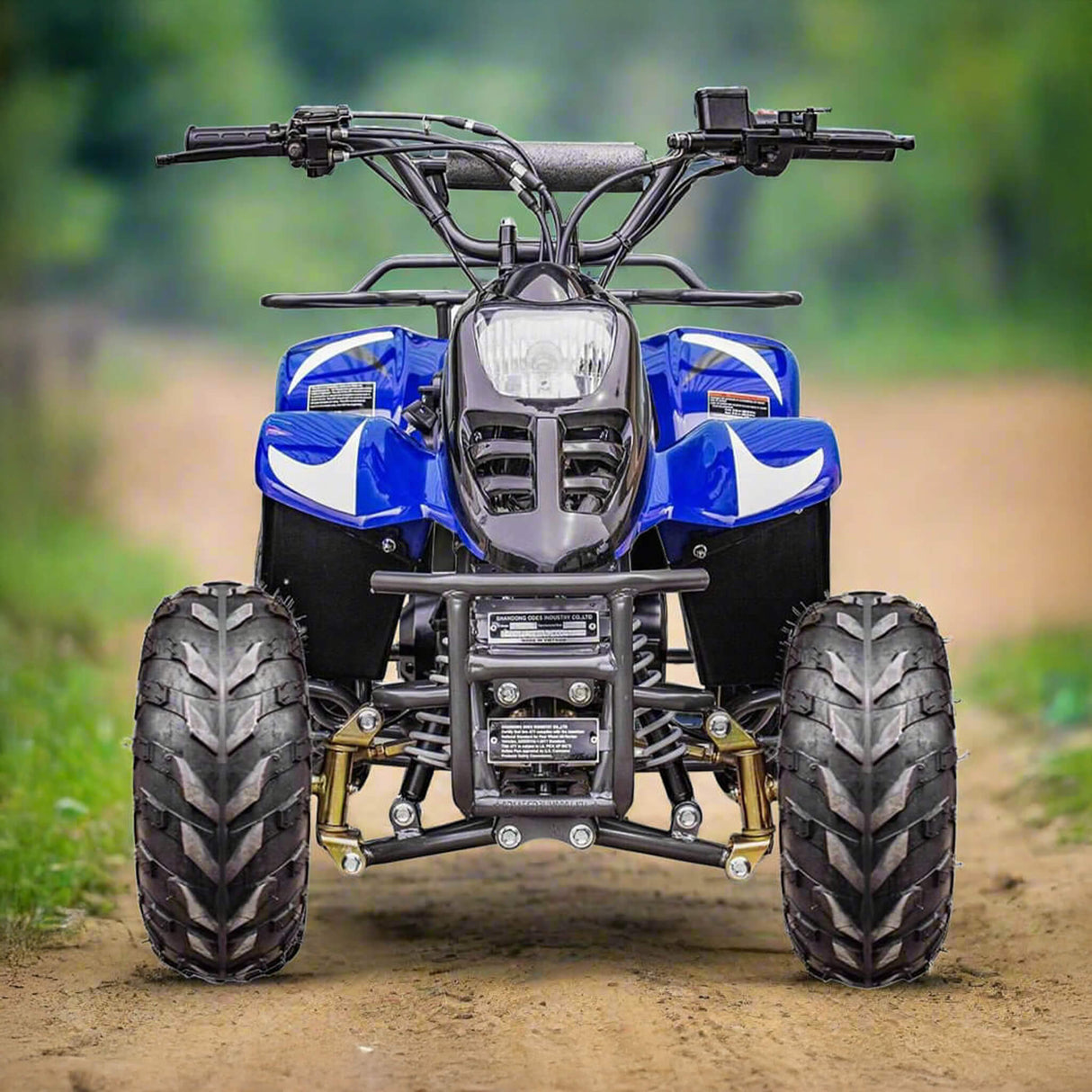 MotoTec Rex 110CC 4-Stroke Mini Kids 4 Wheeler Gas ATV Quad