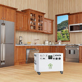 Nature’s Generator Powerhouse with Solar Panel
