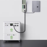 Nature’s Generator Powerhouse with Solar Panel and Transfer Switch