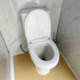 Chery Industrial Ceramic Toilet for Portable Restroom