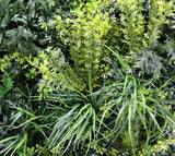 Designer Plants USA Tropical Vibe Artificial Vertical Garden Wall 35" x 35" UV Resistant