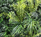 Designer Plants USA Tropical Vibe Artificial Vertical Garden Wall 35" x 35" UV Resistant