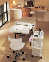 Takara Belmont RICHE AY-EL141ES9 Reclining Eyelash Chair