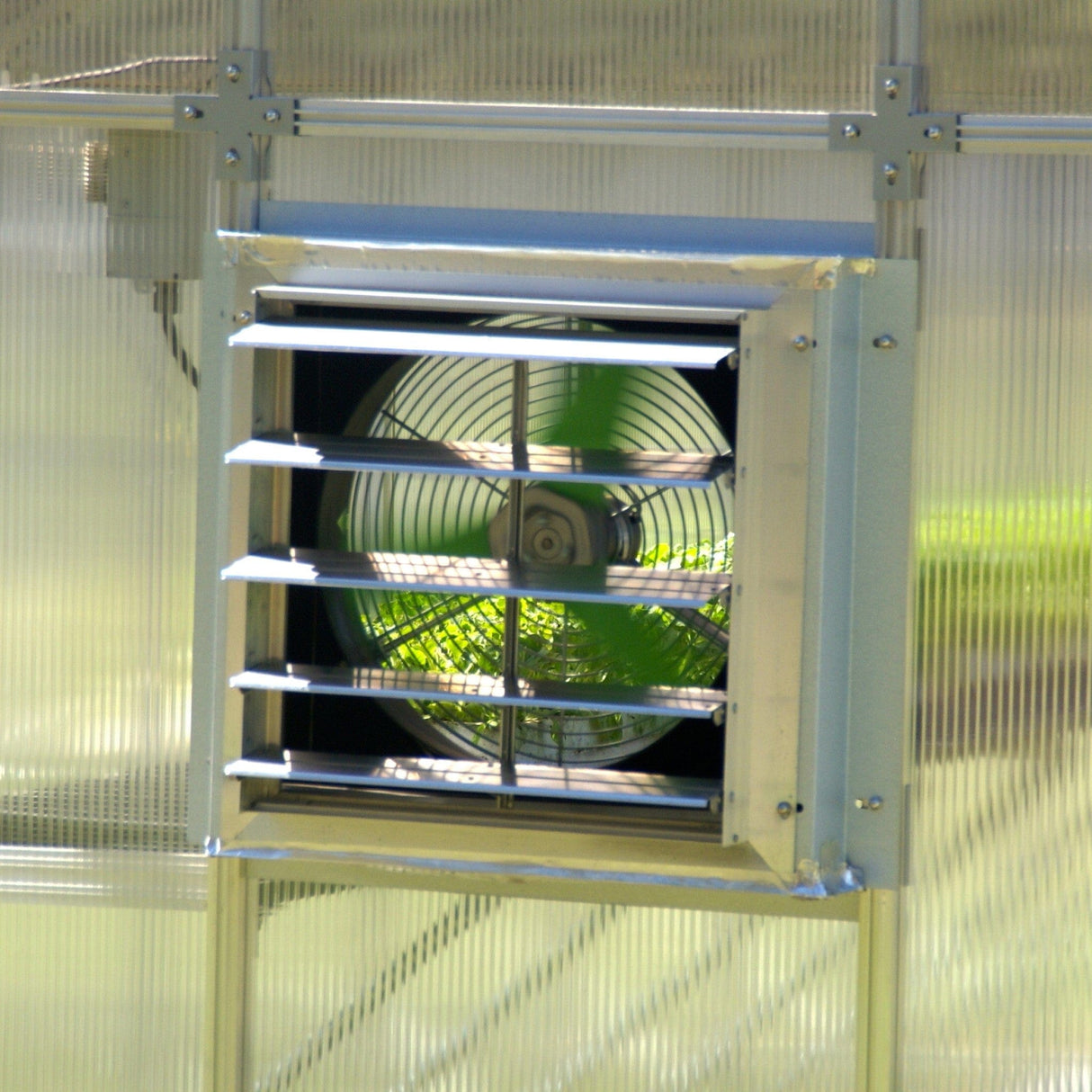 Riverstone MONT Moheat Solar 8mm Twin-Wall Polycarbonate Greenhouse Kit