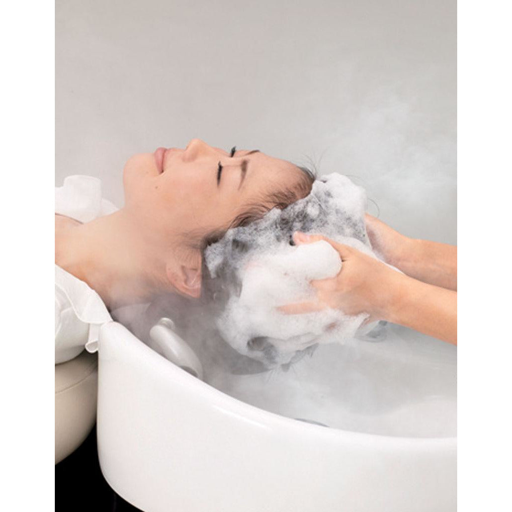 Takara Belmont SPA MIST II Processor SD-160 Spa Hair & Scalp Treatment Stand AK-160SW12NEN