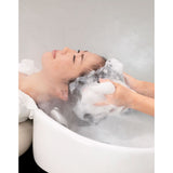 Takara Belmont SPA MIST II Processor SD-160 Spa Hair & Scalp Treatment Stand AK-160SW12NEN