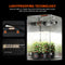 Spider Farmer 2.3’x2.3’x5.2′ 70cm x 70cm x 160cm Indoor Grow Tent