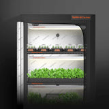 Spider Farmer SF600 growshelves Indoor Led Grow Light and Metal Plant Stand with Plant Trays