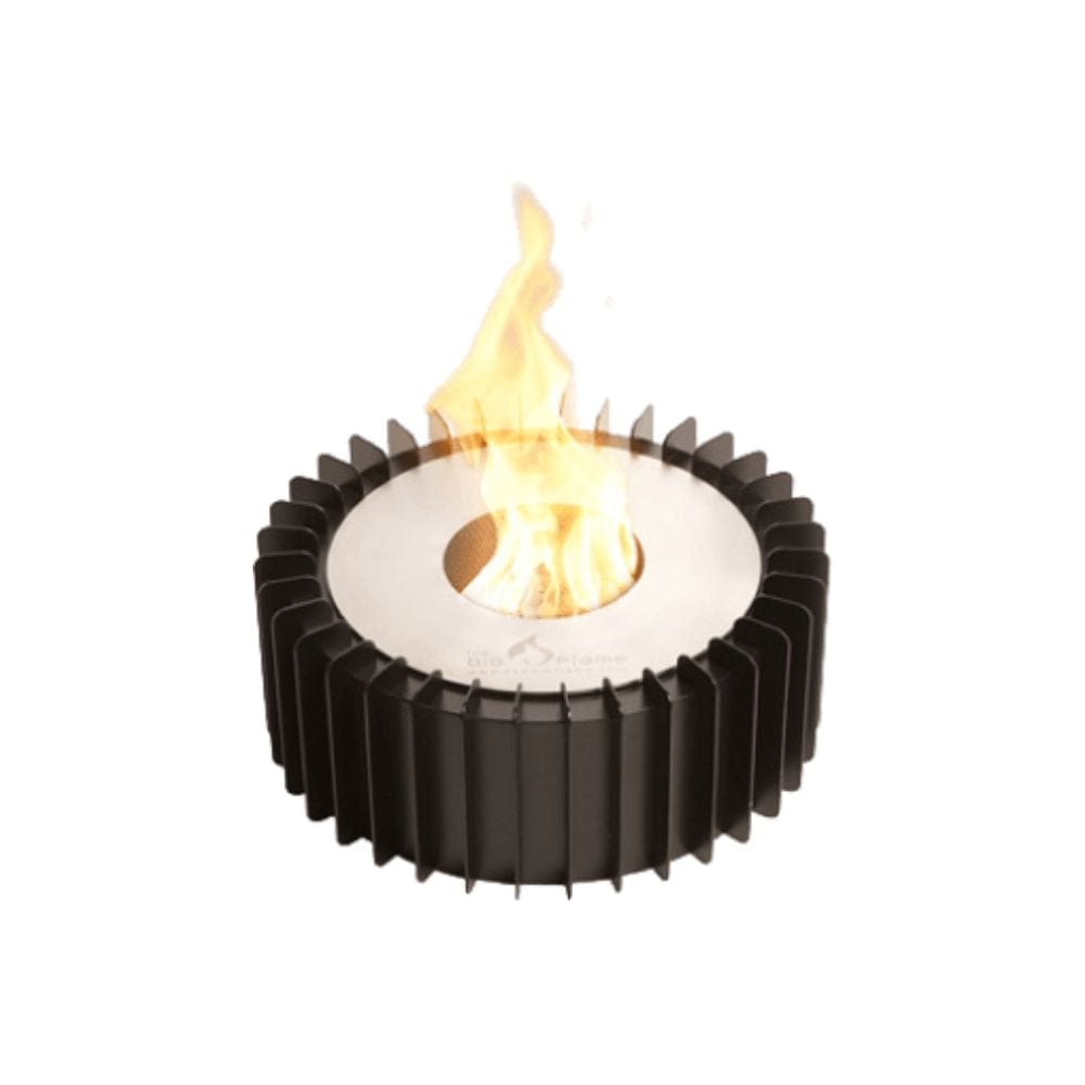 The Bio Flame Ethanol Fireplace Insert
