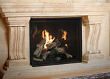 Town & Country TC54 Direct Vent Fireplace