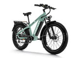 Himiway D5 (Zebra) 750W All-Terrain Fat Tire Electric Bike